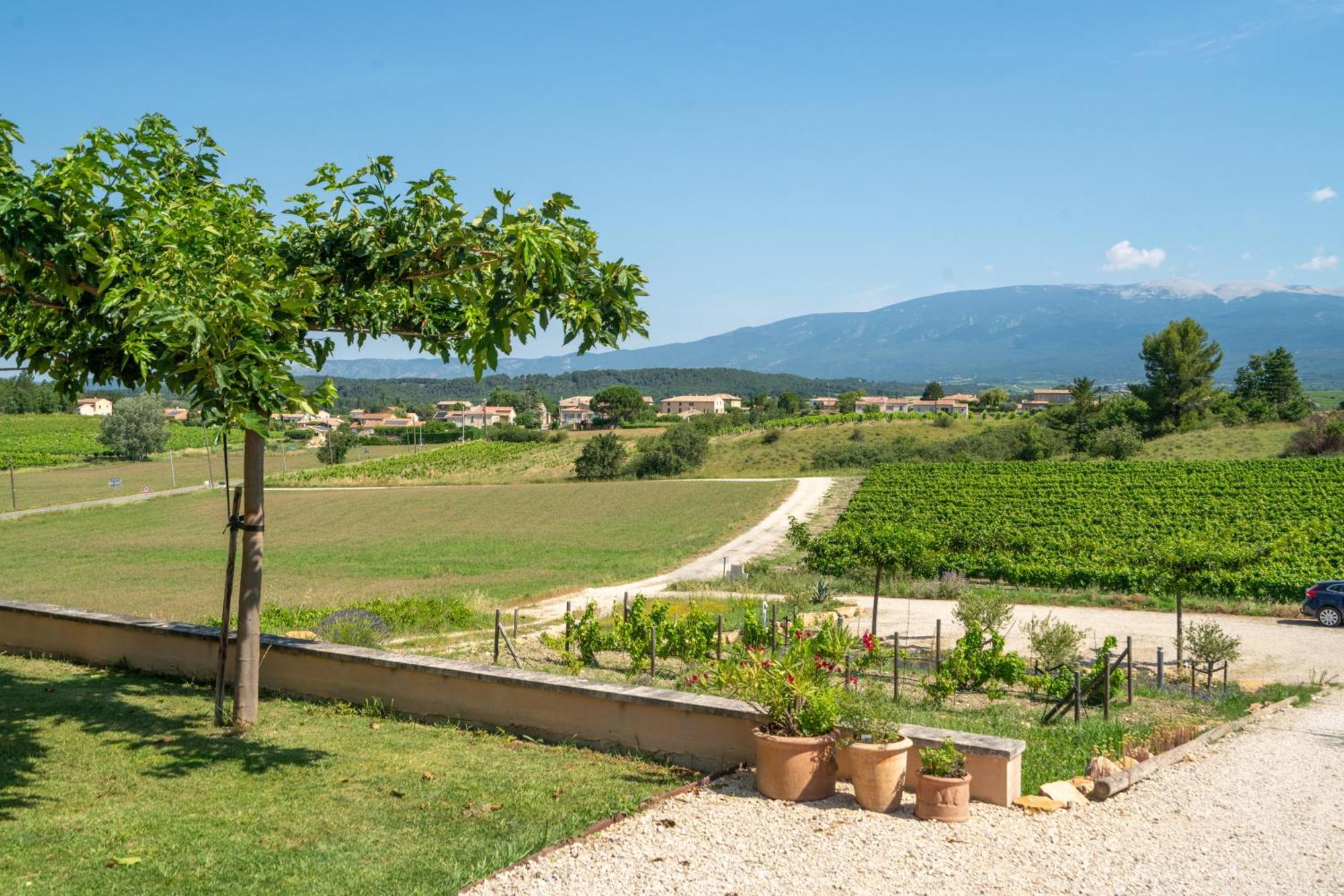 Les Terrasses De Cascavelle Villa Blauvac Exterior photo